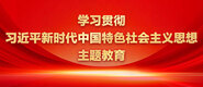 大黑吊大战东北大姐操逼视频学习贯彻习近平新时代中国特色社会主义思想主题教育_fororder_ad-371X160(2)